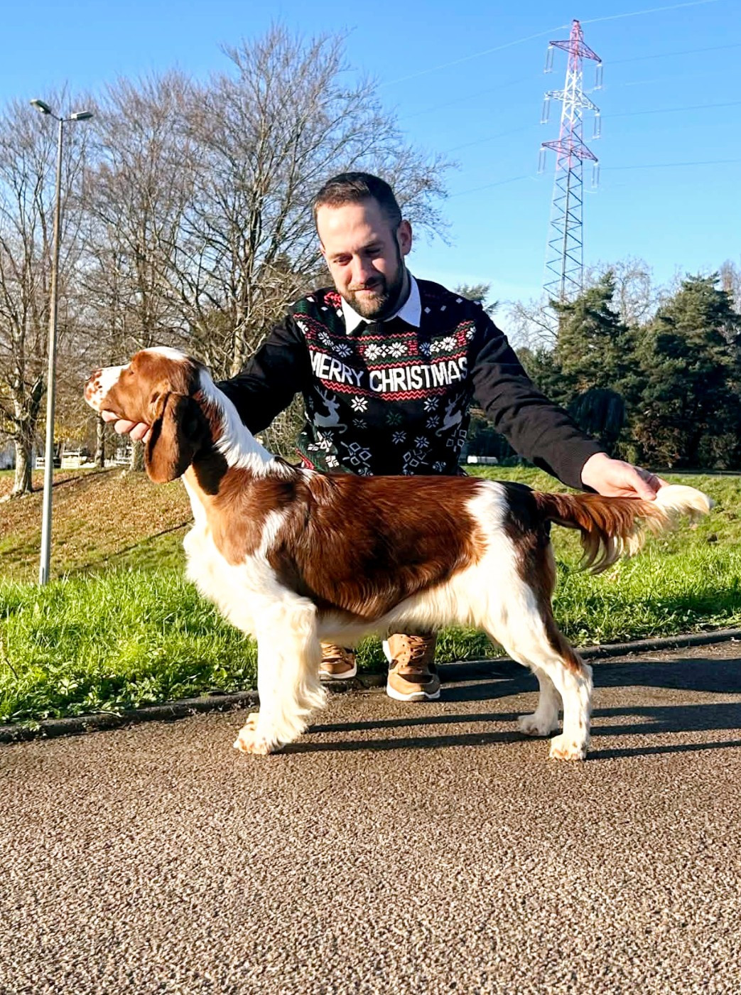 Adèle of loving Star