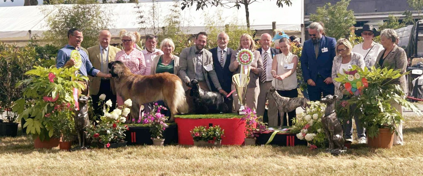 Best in Show Chateaubriant 2025