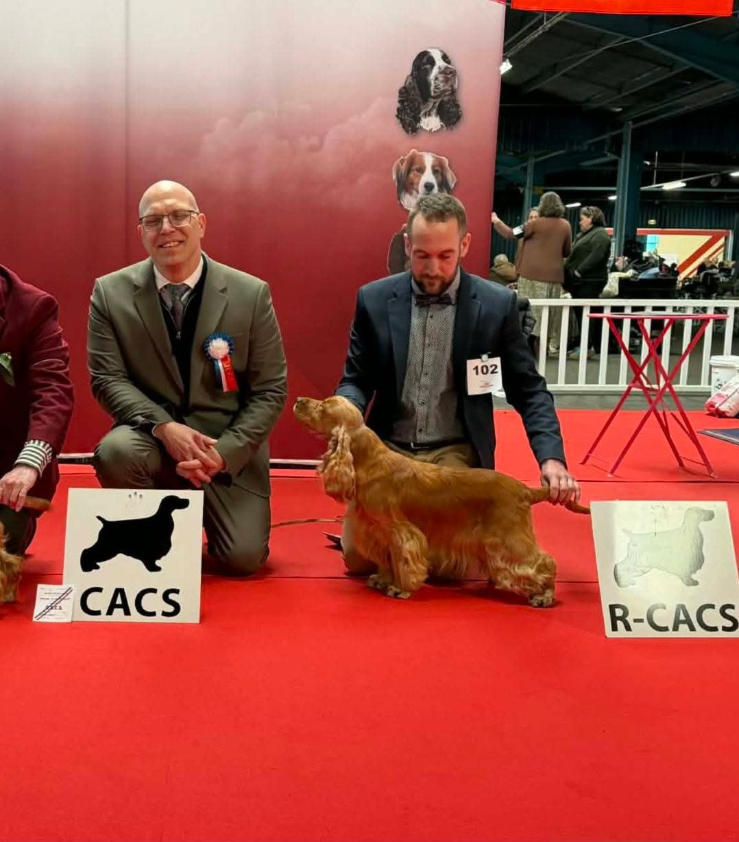 Of Crazy Years - Nationale d Élevage 2026