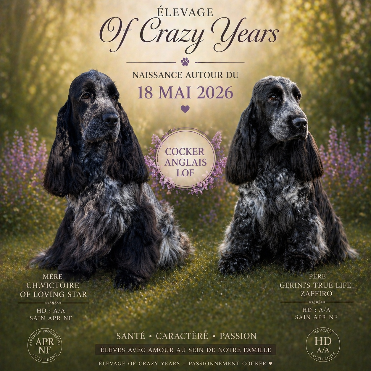 Bientôt des bébés